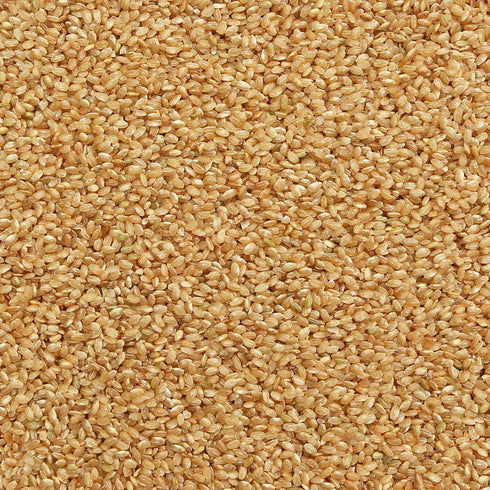RICE, short grain, brown